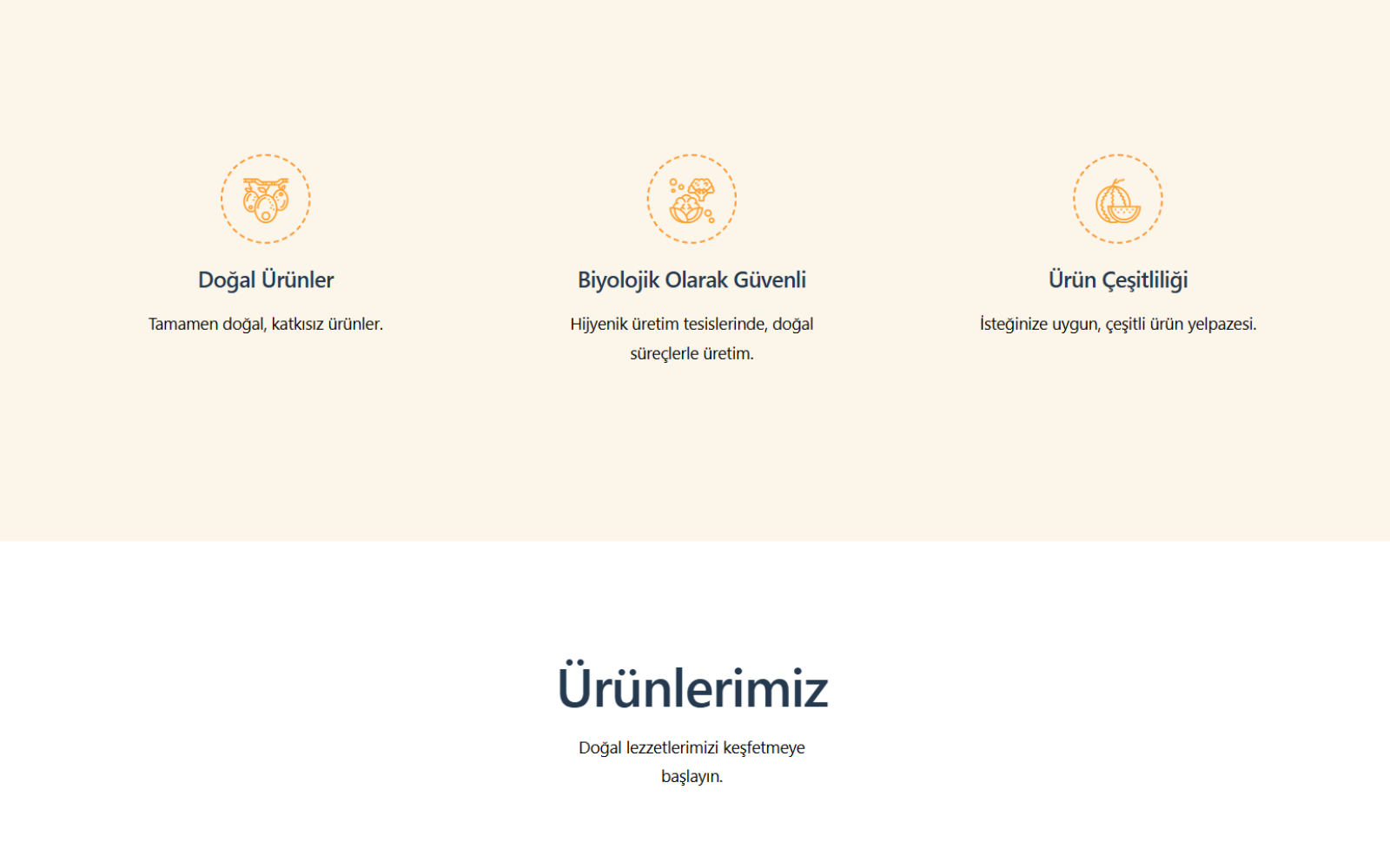 Lunava Syrup - Obsinest Web Geliştirme proje